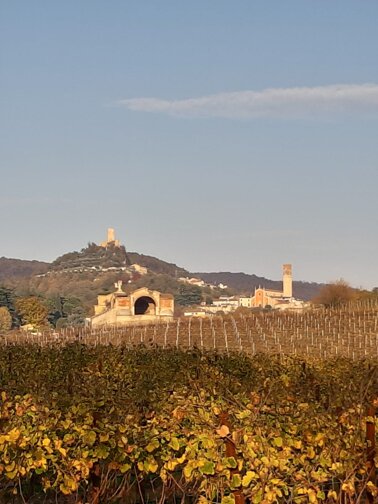 70d17e6ce0e6db2f24b2a678abae32c4529c3317