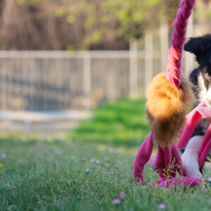 4341ccf2e2e5376d34fd28edd5d90ec4a13630fe