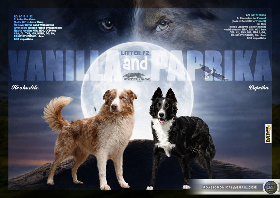 paprika-vanilla copia.jpeg