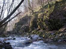 Torrente Rancina Rancio Valcuvia, 2014 foto G. Bogni