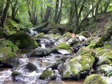 Torrente Malesina Muriaglio, 2013, Silvio Bianco in ricerca