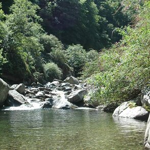 Torrente alpino Proverai l'esperienza di fare ricerca in ambiente alpino