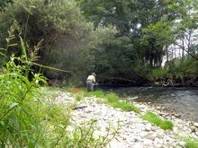 Torrente Malesina San Giusto Can. a afre ricerca