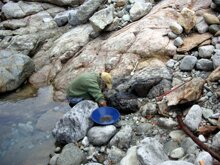 Torrente Cervo Giuseppe Carenzo sta ispezionando le fessure del Berock, 2006, Foto G. Rizzi