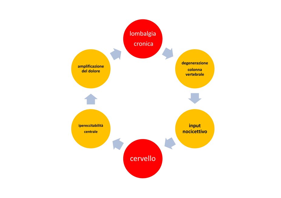Ozonoterapia ecoguidata Milano e Parabiago comoda con la Svizzera sintomi e problematiche della lombalgia cronica Ozonoterapia ecoguidata Milano e Parabiago comoda con la Svizzera sintomi e problematiche della lombalgia cronica