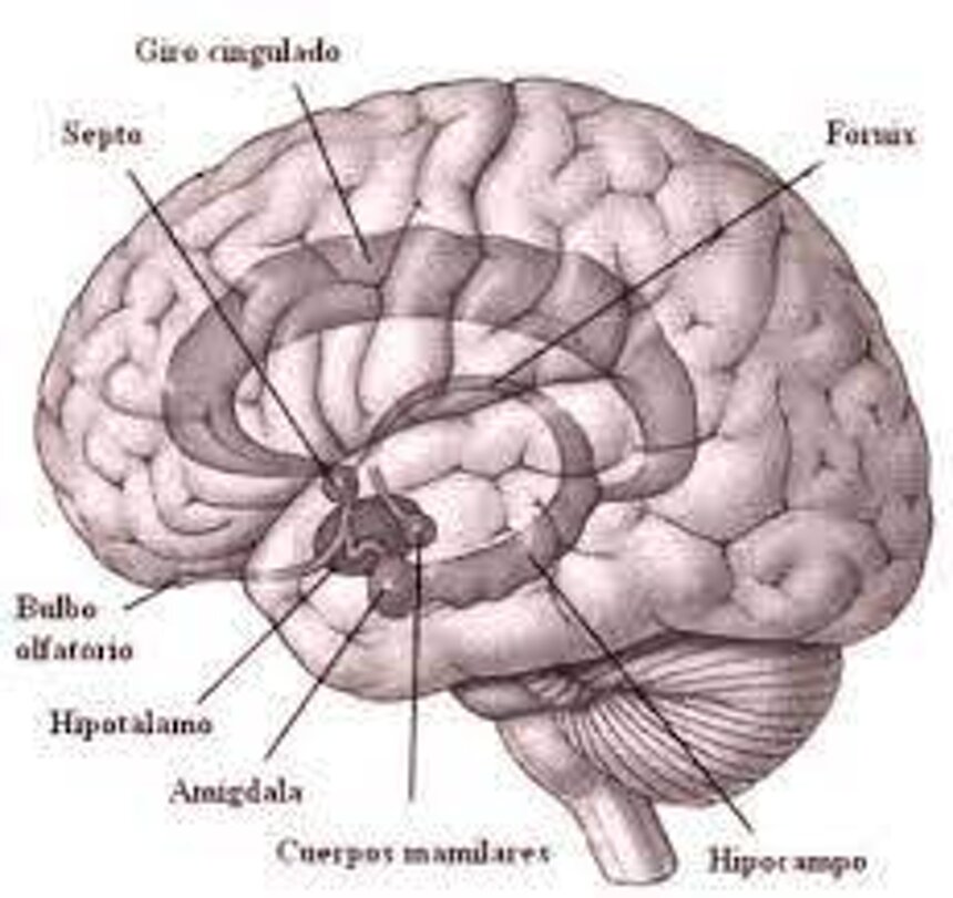 b560fe510ed470f7becb990ab16544fa293bbe34.jpeg b560fe510ed470f7becb990ab16544fa293bbe34.jpeg