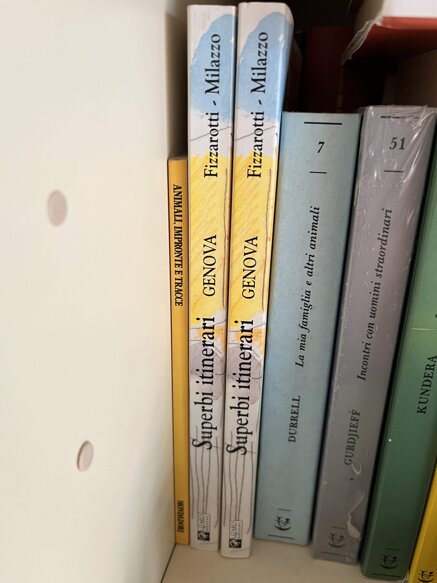 984984d2a225c3065ea25527915e984fe3380b72.jpeg 984984d2a225c3065ea25527915e984fe3380b72.jpeg