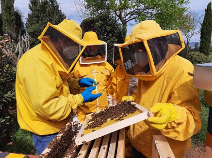 1fda34bf27279ac6a7f211e3d7d6fdc7630b616f 1fda34bf27279ac6a7f211e3d7d6fdc7630b616f