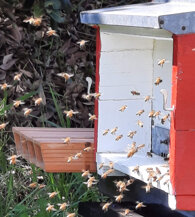 33de85db804e89bc6d94d65320bf0674ac092573 33de85db804e89bc6d94d65320bf0674ac092573