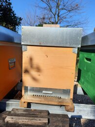 62c474dcc5dfc0dc04e8f5a93f4ddf5abd566444.jpeg 62c474dcc5dfc0dc04e8f5a93f4ddf5abd566444.jpeg