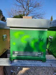 b9906d455b47ed3fc8146c6875619884707ffa63.jpeg b9906d455b47ed3fc8146c6875619884707ffa63.jpeg