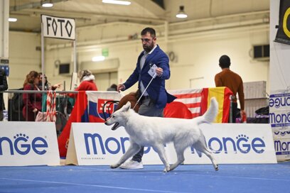 9aca2524-b2e7-4fb5-b1ed-87d911dc3213.jpeg 9aca2524-b2e7-4fb5-b1ed-87d911dc3213.jpeg