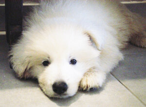 image0.jpeg