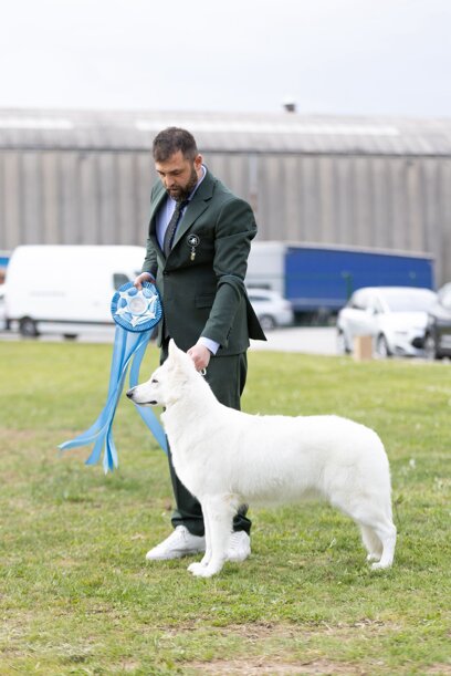 27a8824d-eceb-481b-aff7-a67de33b03f8.jpeg 27a8824d-eceb-481b-aff7-a67de33b03f8.jpeg