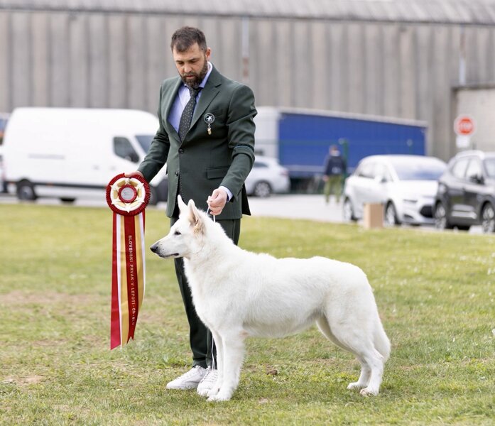 c28ad3a9-bb1a-4a4f-bbed-39468be0c590.jpeg c28ad3a9-bb1a-4a4f-bbed-39468be0c590.jpeg