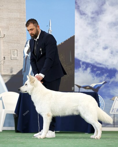 att.j9ydtgj-vjzljlmfyc_wsxd_c5jchjybc3lcyixfwnq.jpeg att.j9ydtgj-vjzljlmfyc_wsxd_c5jchjybc3lcyixfwnq.jpeg