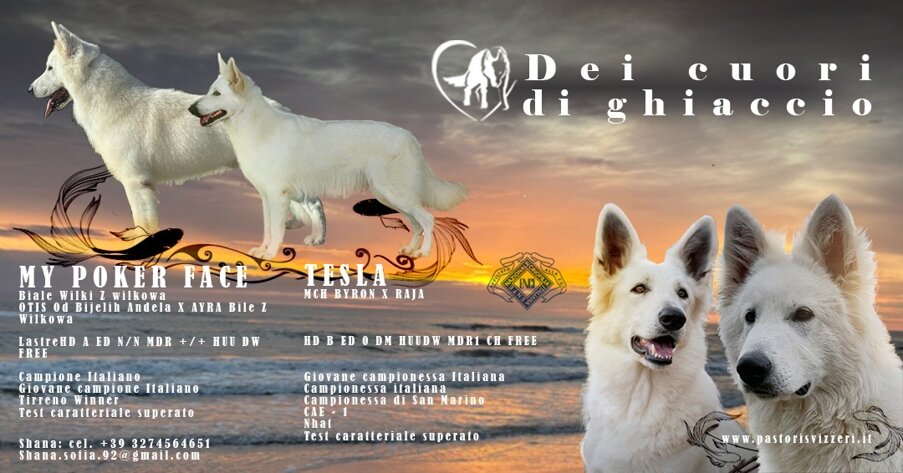 c7677faa3dcfbef82ddb383fecd67ac14742c4df c7677faa3dcfbef82ddb383fecd67ac14742c4df