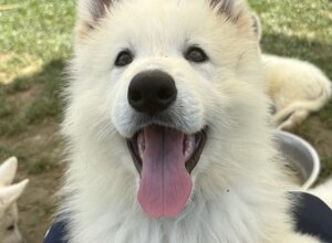 yuki%20copia.jpeg yuki%20copia.jpeg