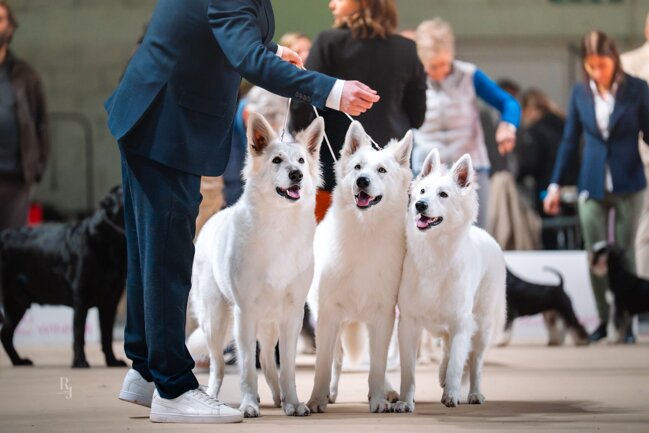 26c8ed22-3863-405f-92a4-75e67857a74b.jpeg 26c8ed22-3863-405f-92a4-75e67857a74b.jpeg