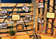 35c748547d19317f19c8b697ee0715428e41da76