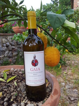 88873f539faef2971a95397dc98946af3167def4