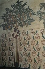 img_8962.jpeg img_8962.jpeg