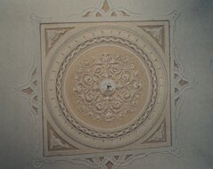 img_8954.jpeg img_8954.jpeg