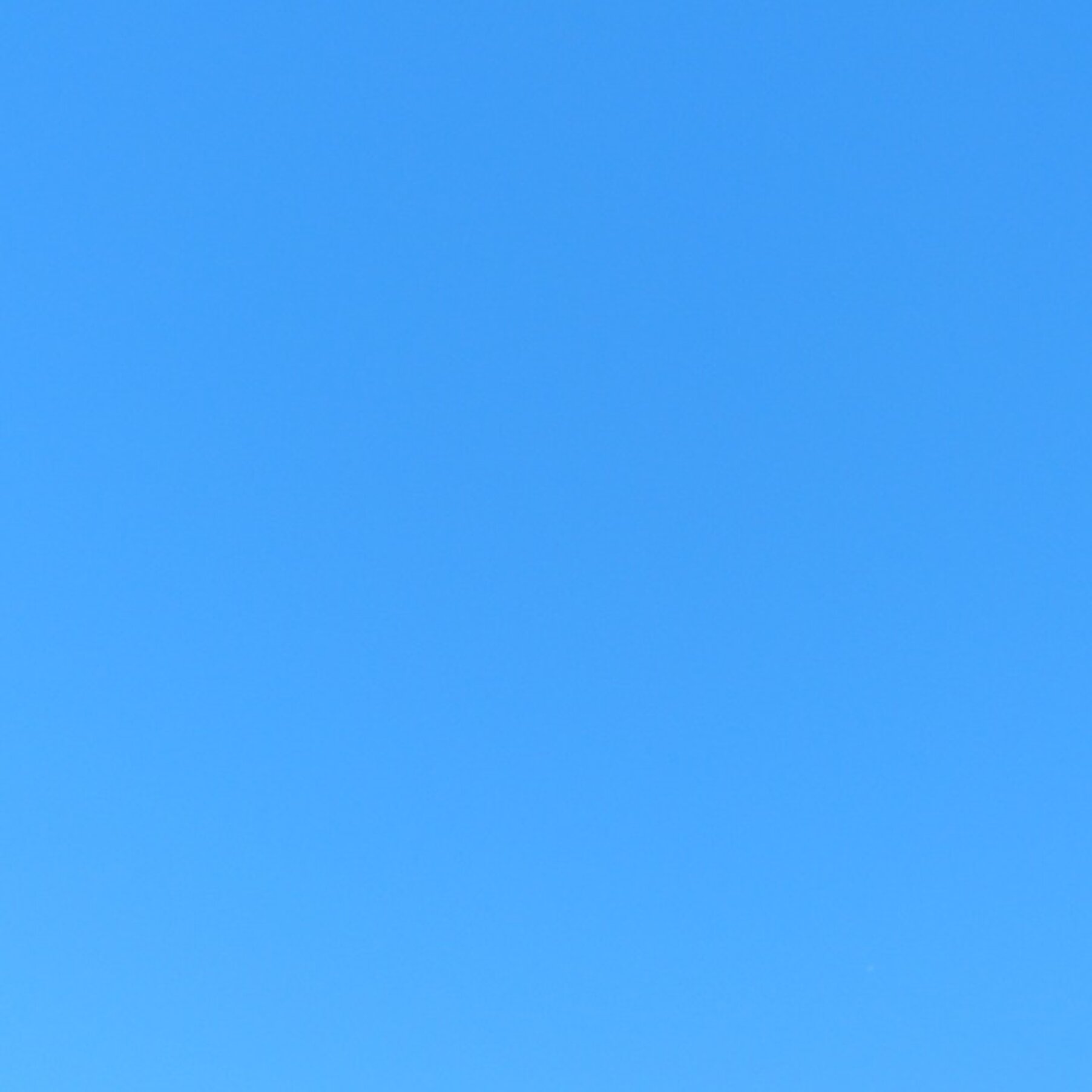 3bfd972383861f2881f2d7e1db512d979017cd4d