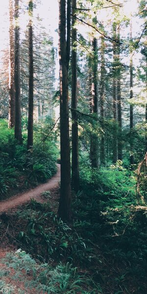 gavin-mcgruddy-p23yjjmt16s-unsplash.jpeg