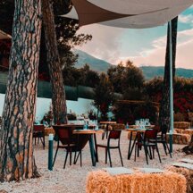 Azienda Vitivinicola FG_G_B Dettaglio accoglienza