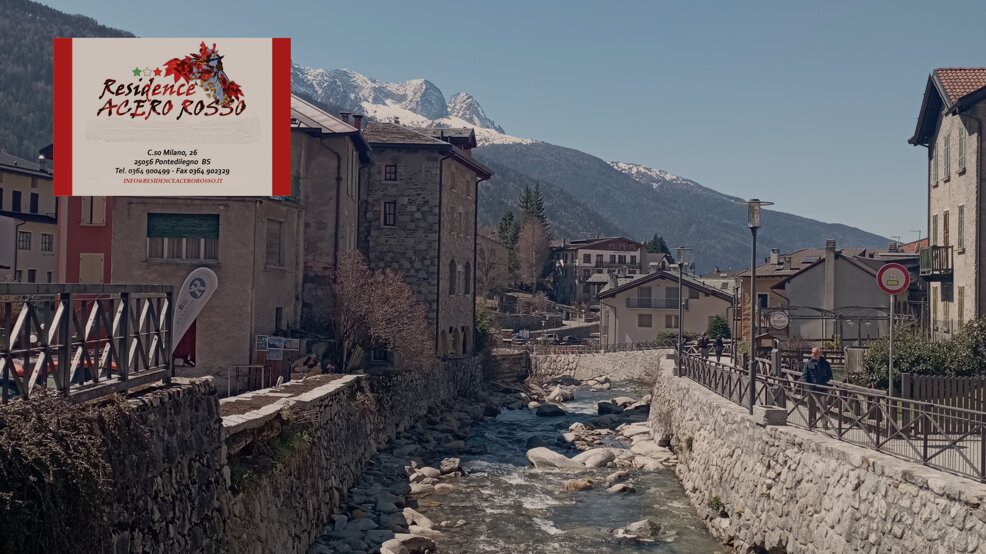 frigidolfo.jpeg frigidolfo.jpeg