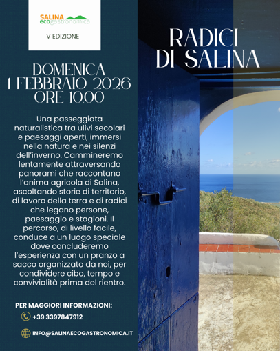 radici di salina radici di salina