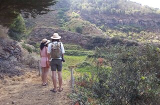 20170730_105809-01.jpeg 20170730_105809-01.jpeg