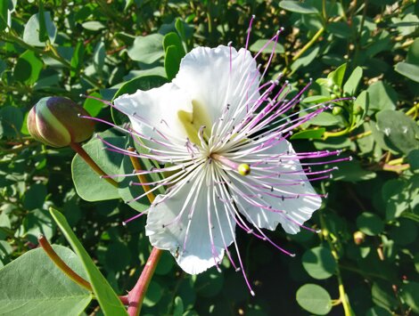 14997_6b86b69ef0787a409453b9ba931667008c614532