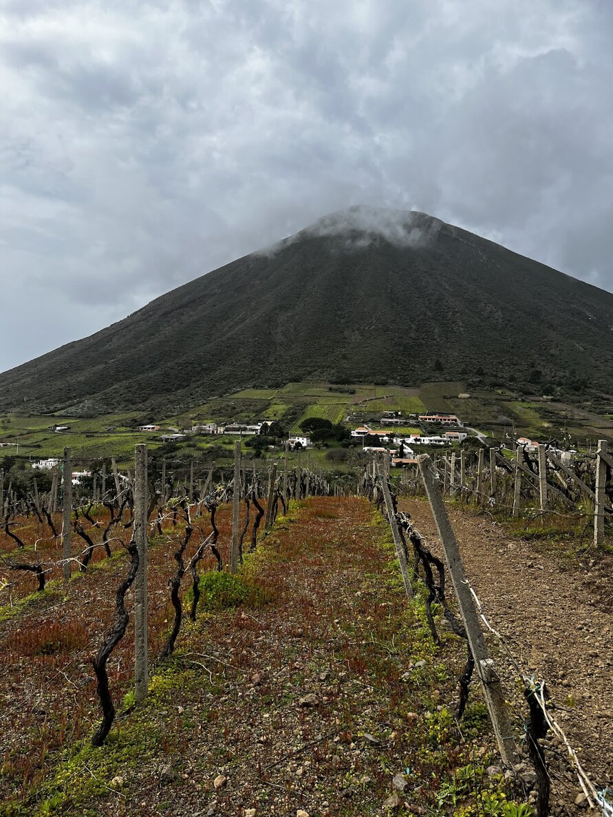 14997_d6bdd2f3d53aa6e08d20328914ea2df4e36ab6d6