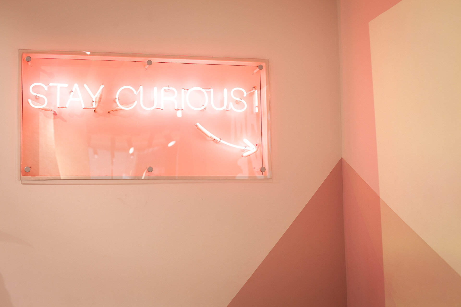 Sostenibilità, marketing e gestione del brand. Sostenibilità, marketing e gestione del brand.