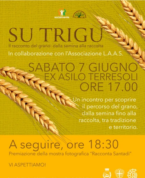 su trigu