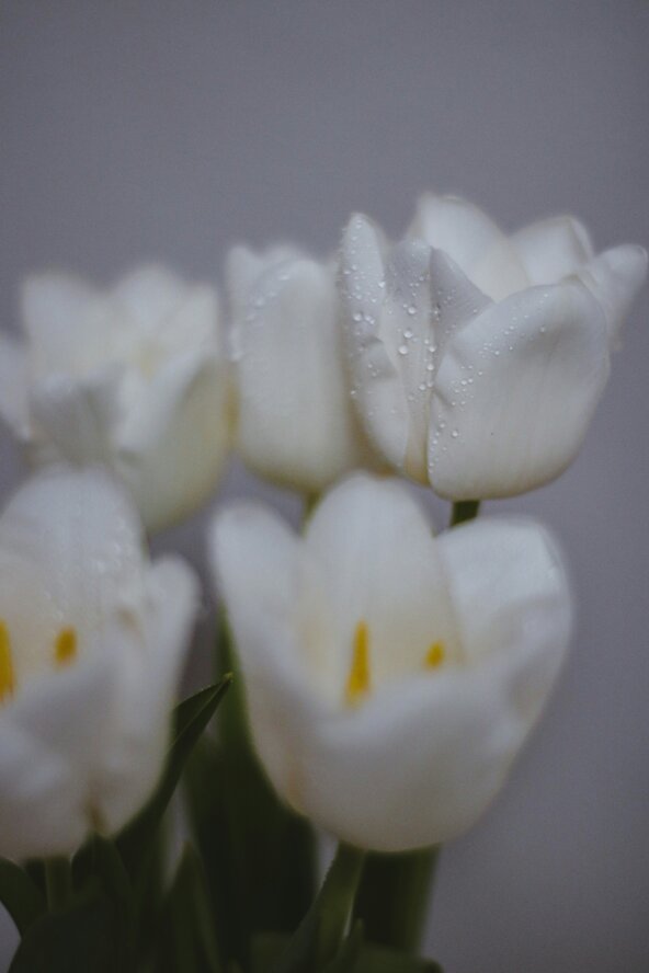 pure-julia-wpvhdxl7hek-unsplash.jpeg