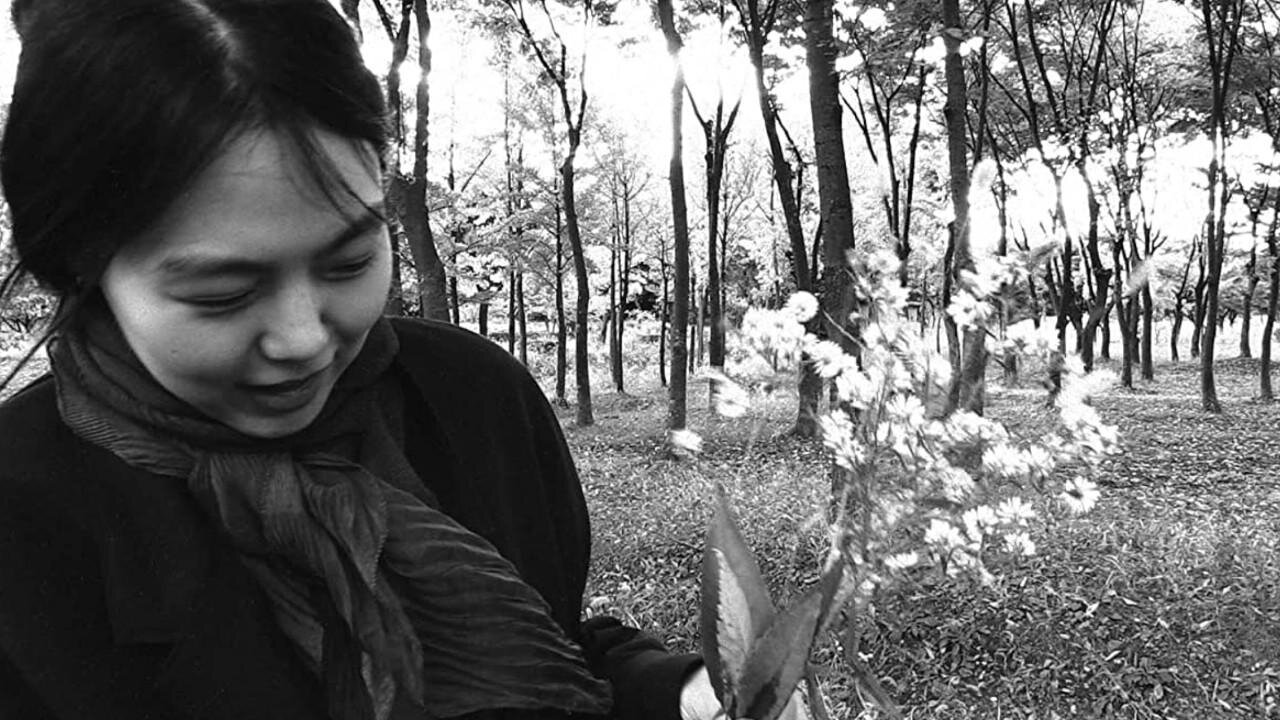 La sperimentazione primordiale in The Novelist&rsquo;s Film di Hong Sang-soo
