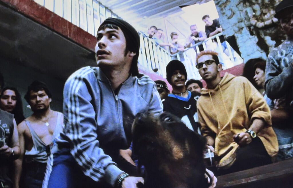 I 25 anni di Amores Perros e una (doppia) mostra dedicata I 25 anni di Amores Perros e una (doppia) mostra dedicata