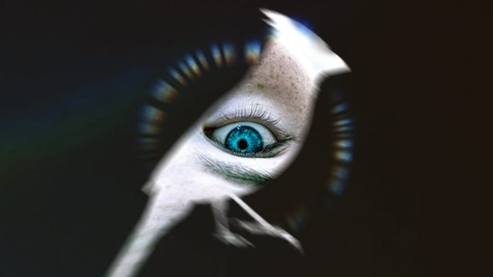 Disclosure day: la chiusura di un cerchio? Disclosure day: la chiusura di un cerchio?