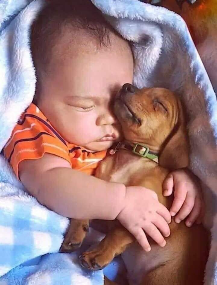 SCUOLE CRISTIANE CALCIO