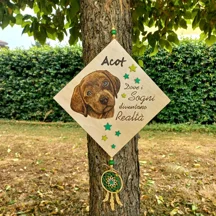 Ritratto cane da fotografia Quadretto con ritratto e acchiappasogni