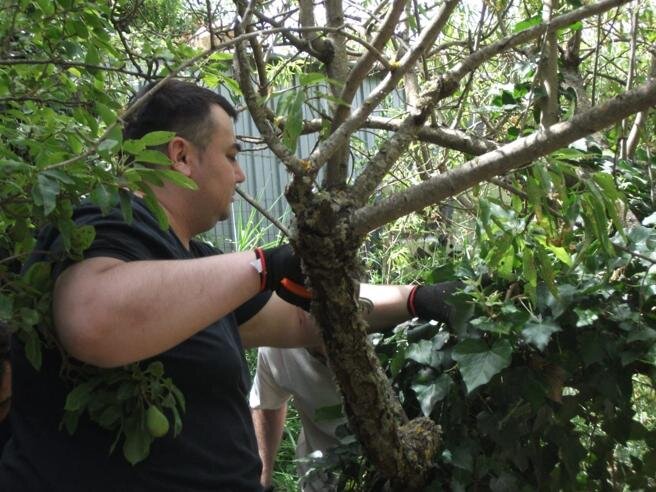 A Enna, con la cura dell’orto rifiorisce l’anima. A Enna, con la cura dell’orto rifiorisce l’anima.