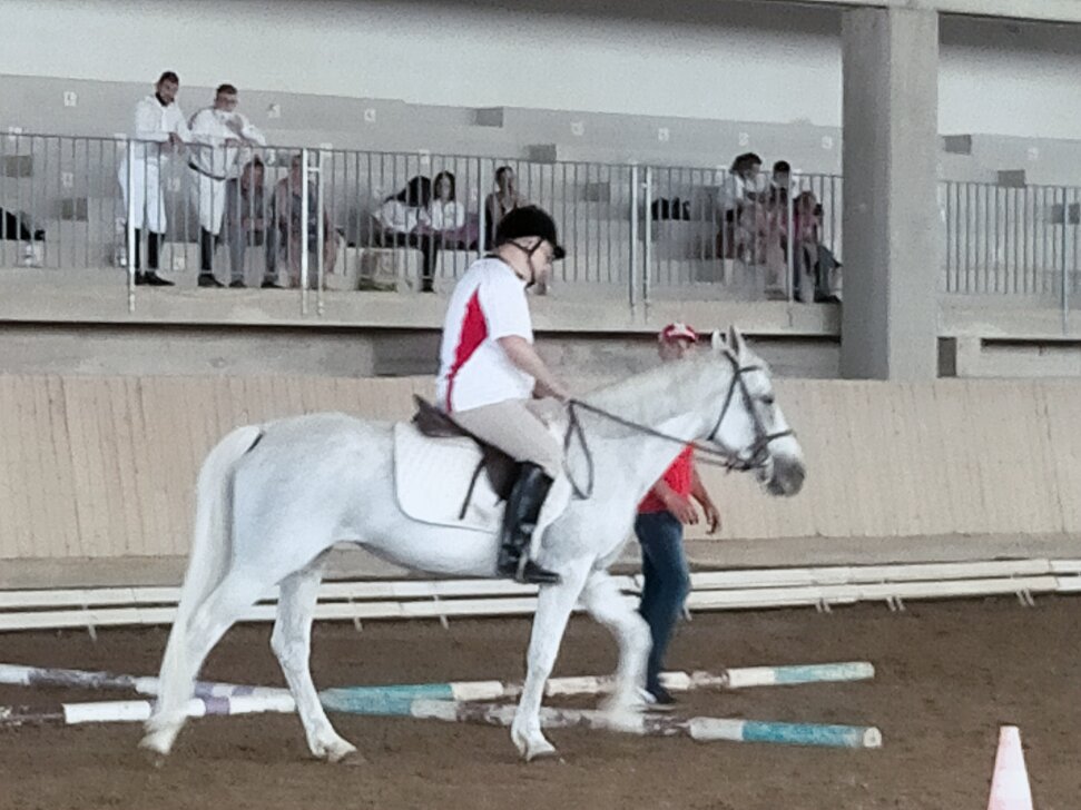Equitazione Equitazione