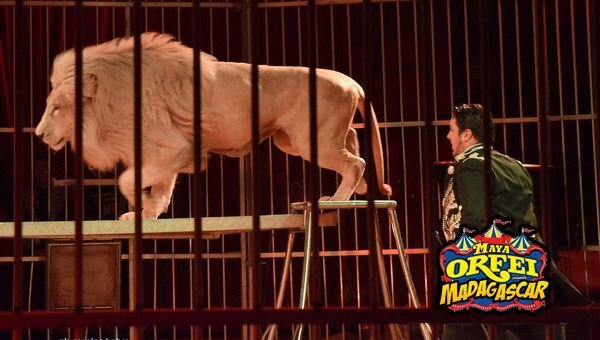 3c5f429dd7f028ab06b8974e5e9b0d04.jpeg 3c5f429dd7f028ab06b8974e5e9b0d04.jpeg