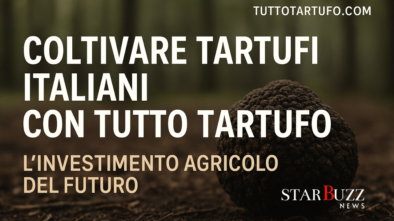 “Da terreno incolto a oro nero: come Tutto Tartufo sta rivoluzionando la coltivazione dei tartufi in Italia”