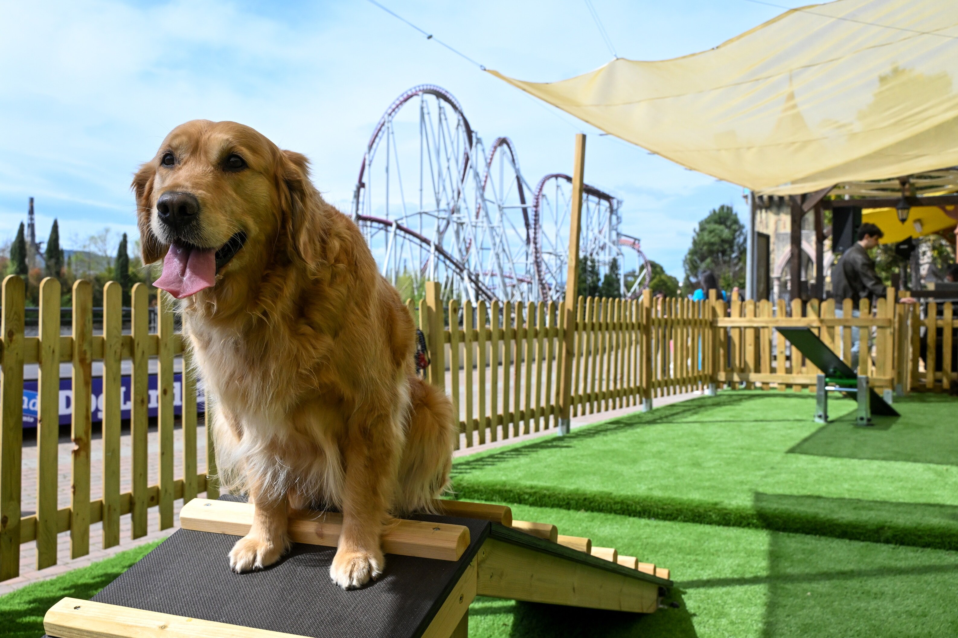 GIORNATA MONDIALE DEL CANE 2026: A MAGICLAND IL DIVERTIMENTO SI VIVE CON I PROPRI AMICI A QUATTRO ZAMPE.