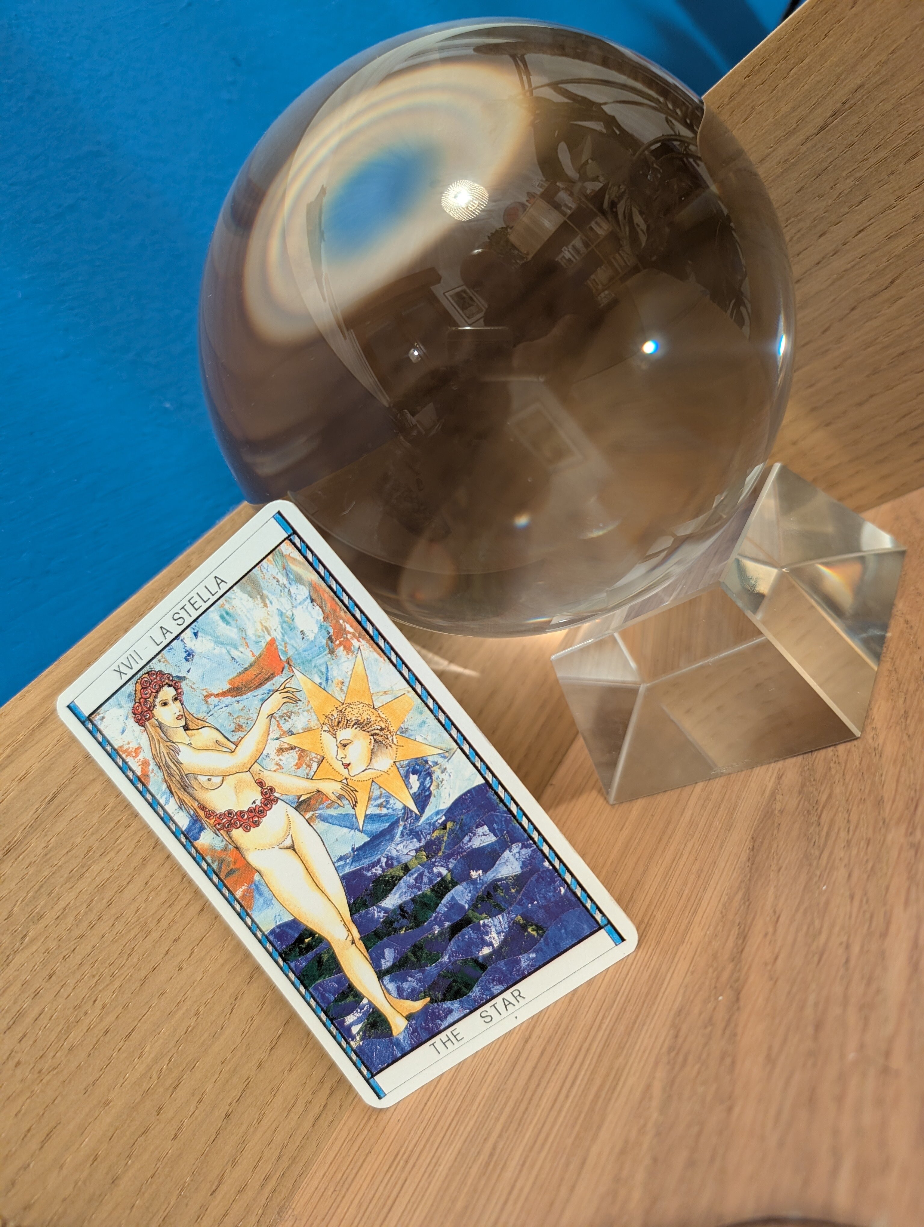 pxl_20251125_182454270.jpeg pxl_20251125_182454270.jpeg