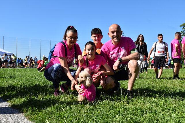 dsc_2310.jpeg dsc_2310.jpeg